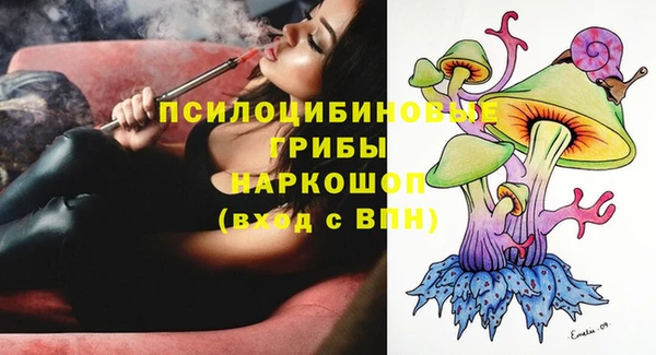дмт Струнино