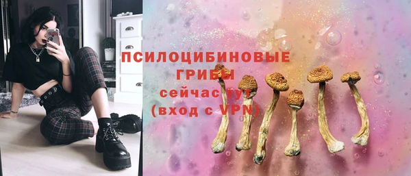дмт Струнино