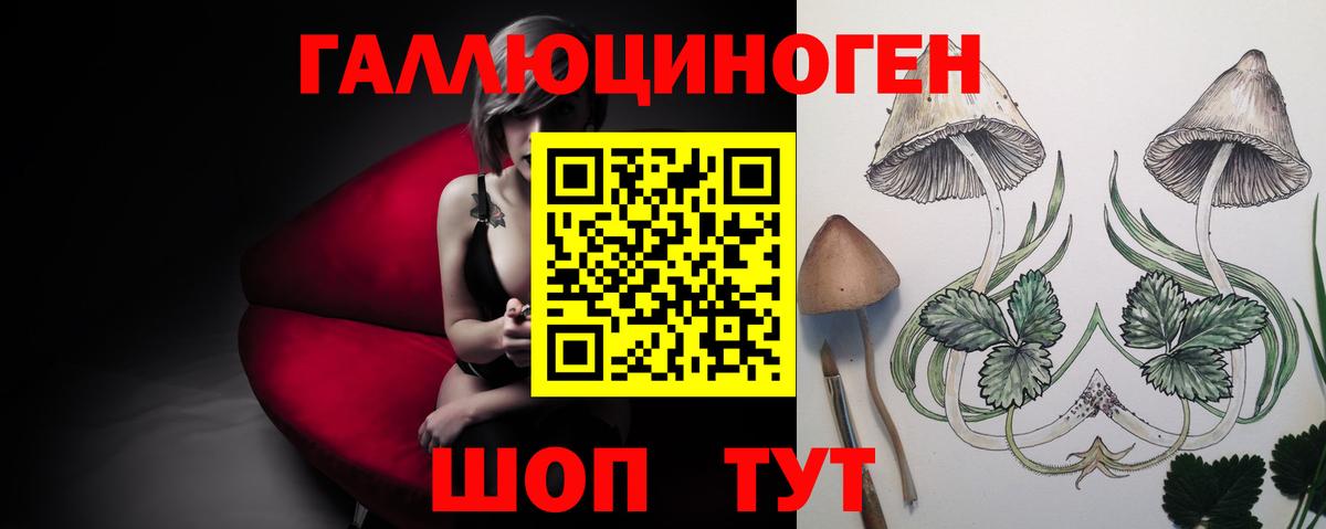 Псилоцибиновые грибы GOLDEN TEACHER Саратов