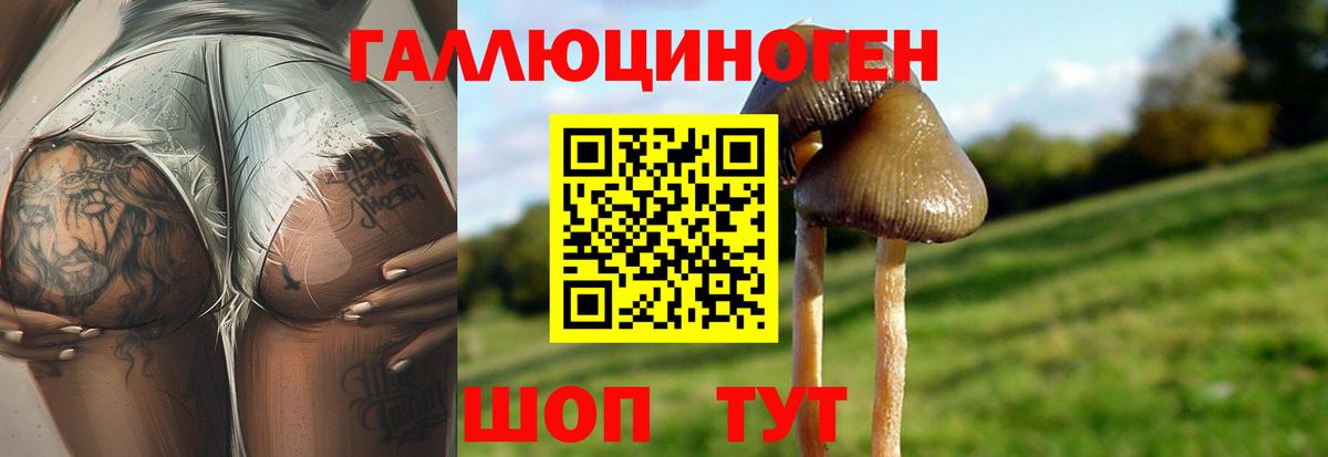 Саратов  Галлюциногенные грибы Cubensis  Вход с VPN 